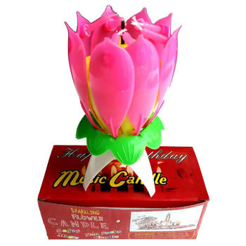 Picture of Lotus Candil (Small)